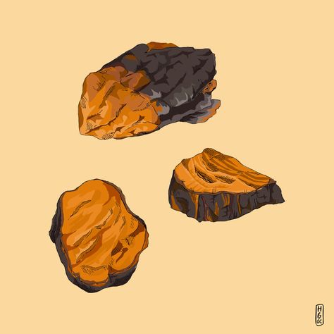 History, Uses and Benefits of Chaga Mushroom Chaga Mushroom Benefits, Lions Mane Benefits, Mushroom Benefits, Chaga Mushroom, Food Mood, Lion's Mane, Sugar Level, Fiber Rich Foods, Sugary Food