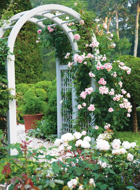 Tips for Enjoying Your Garden - Colorado Homes & Lifestyles Hampton Garden, Garden Archway, Country Cottage Garden, Rose Garden Design, Moss Garden, Beautiful Flowers Garden, Garden Tours, Climbing Roses, Garden Trellis