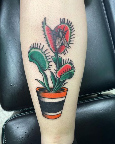 Traditional Venus Fly Trap Tattoo, Venus Flytrap Tattoo, Fly Trap Tattoo, Houseplant Tattoo, Venus Fly Trap Tattoo, Trap Tattoo, Plant Reference, Flower Reference, Traditional Vases