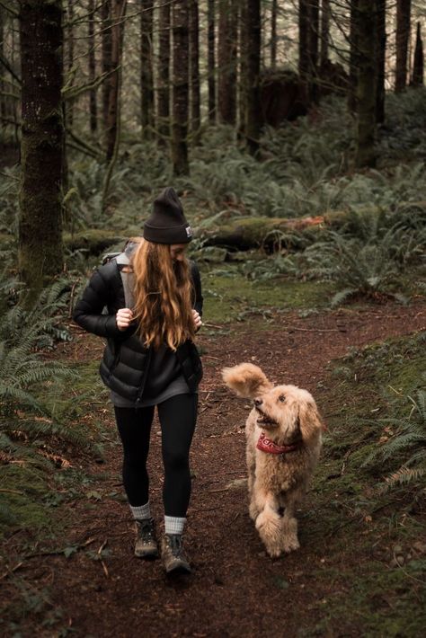 Washington Hikes, Hiking Photography, Dog Photoshoot, Hiking Pictures, Hiking Dogs, Photoshoot Idea, Dog Adventure, Adventure Wedding, Dog Photography