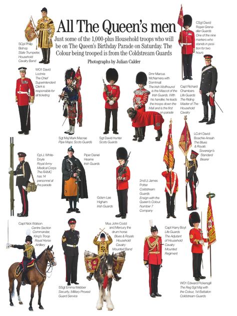 Romanov Family Tree, Navy Ranks, British Guard, Soldier Graphic, Army Ranks, British Army Uniform, British Uniforms, Army Rangers, British Armed Forces