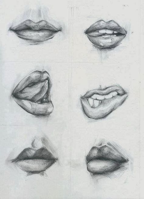 Realistic Features Drawing, Fundamental Of Drawing, Mouth Drawing Reference Realistic, Lips Drawing Sketch, Realistic Lips Drawing, Lips Drawing Reference, Mouth Sketch, Lips Sketch, Drawing Hands