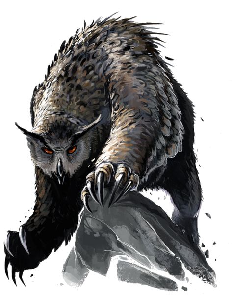 Owl Bear Art, Owl Creature Design, Owl Dragon Hybrid, Fantasy Owl Creature, Owl Bear Dnd, Owlbear Art, Bear Concept Art, Owl Hybrid, Creatures Rpg