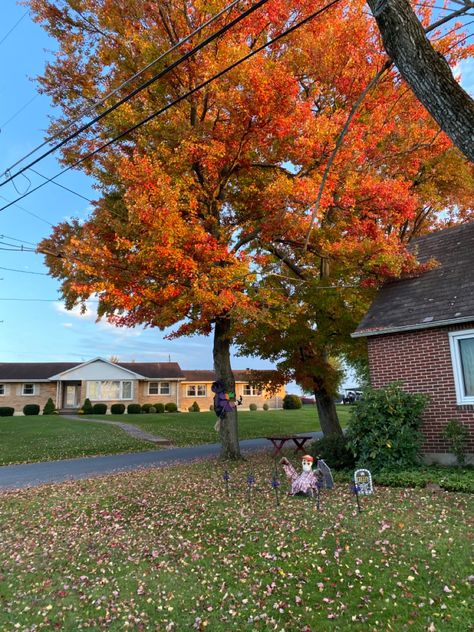 Fall Neighborhood, Halloween Neighborhood, Leaves Falling, Fall Trees, Autumn Scenes, Autumn Nature, Fall Inspo, Season Of The Witch, Fall Feels