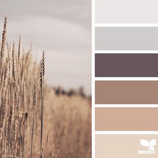 today's inspiration image for { field tones } is by @julie_audet ... thank you, Julie, for another incredible #SeedsColor photo share! Café Design, Seeds Color, Color Concept, House Color Palettes, Bohol, Design Seeds, Color Palette Design, Paint Colors For Living Room, Living Room Colors