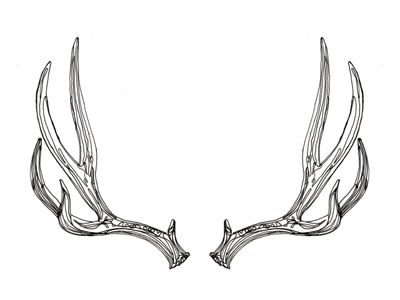 Antler Clip Art, Antlers Tattoo, Antlers Drawing, Antler Tattoo, Antler Crown, Elk Antlers, Forest Spirit, Fireplace Mantle, Tattoo Inspo