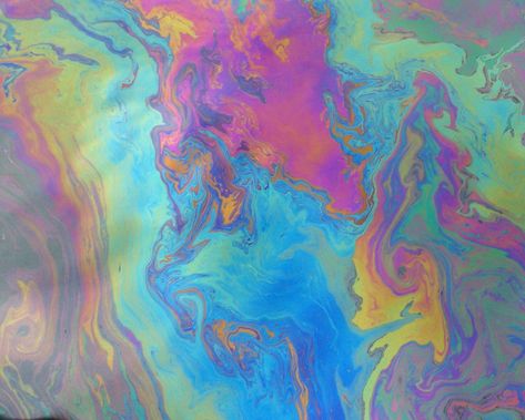 https://www.flickr.com/photos/pbrigido/4274226549/ Cassandra Calin, Rainbow Water, Mushroom Paint, Liquid Art, Rainbow Painting, Oil Spill, Floor Art, Oil Slick, Fluid Painting