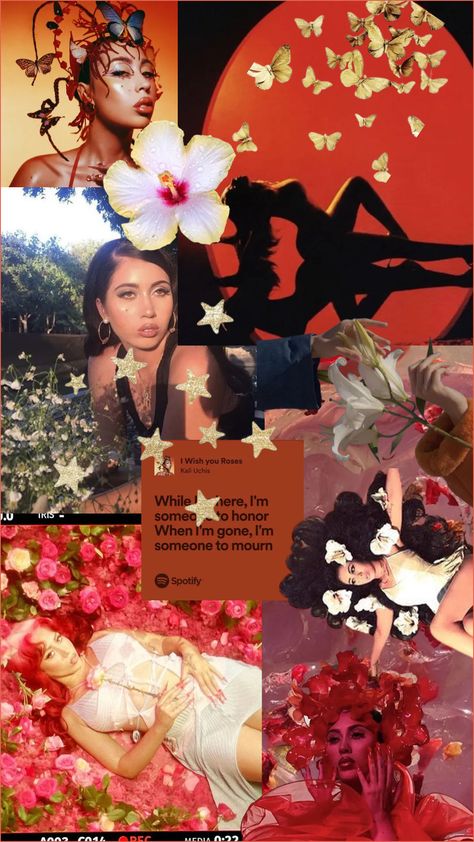 Vision Collage, Album Cover Wallpaper Collage, Mother Kali, Pink Aura, Kali Uchis, Iphone Wallpaper Photos, Collage Poster, Red Moon, Graphic Wallpaper