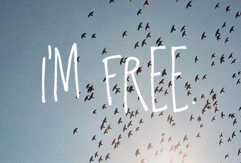 Im free life quotes quotes quote free life lessons freedom life sayings Bird Quotes, Freedom Quotes, Visual Statements, Free Quotes, The Words, Inspire Me, Favorite Quotes, Wise Words, Quotes To Live By