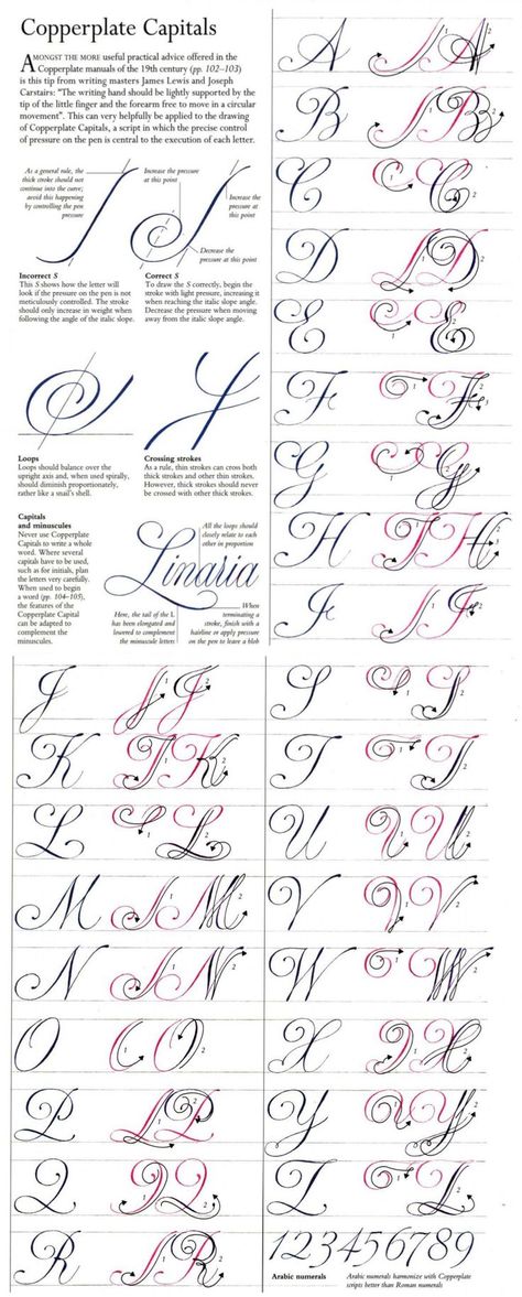 Copperlate Capitals | Hand lettering alphabet, Hand lettering, Hand lettering fonts Tato Mandala, Fancy Cursive, Alfabet Font, Calligraphy Fonts Alphabet, Lettering Styles Alphabet, Fancy Writing, Calligraphy Tutorial, Copperplate Calligraphy, Calligraphy For Beginners