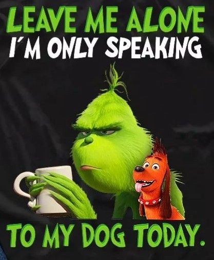 Grinch Sayings, Christmas Quotes Grinch, Grinch Memes, Grinch Images, Grinch Stuff, Funny Mean Quotes, Grinch Quotes, Funny Day Quotes, To My Dog