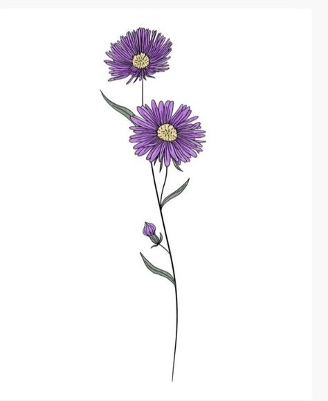 Aster Color Tattoo, Purple Aster Flower Tattoo, Purple Aster Tattoo, Aster Flower Tattoo Color, Aster Flower Wallpaper, Purple Daisy Tattoo, Small Aster Flower Tattoo, Aster Flower Aesthetic, Purple Aster Flower