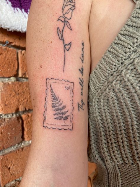 Small Tattoos Plants, Fineline Men Tattoos, Fern Tattoos For Women, Fern Wrap Tattoo, Plant Growing Tattoo, Fine Line Stamp Tattoo Ideas, Highlands Tattoo, Plant Tattoos Men, Nature Stamp Tattoo