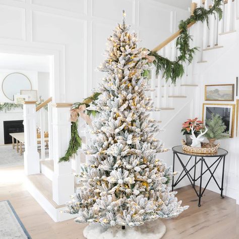 How to Hang Window Wreaths + Black Friday Decor Finds - Bless'er House White Lights Christmas Tree, How To Hang Wreaths On Windows, Christmas Wreaths On Windows, White Lights Christmas, Wreaths On Windows, Window Wreaths, Christmas Wreaths For Windows, Lights Christmas Tree, Window Wreath