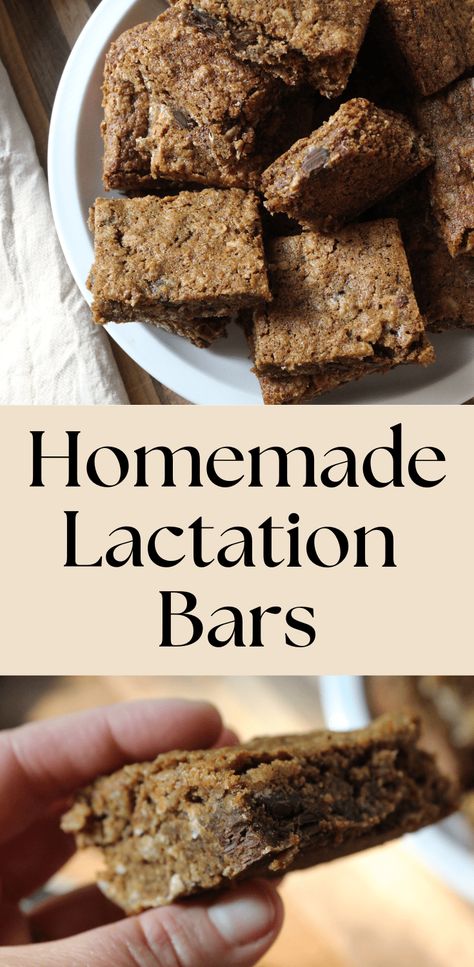 Homemade Lactation Bars - Lactation Bars Recipes, Homemade Lactation Recipes, Lactation Protein Balls, Lactation Granola Bars, Lactation Bars, Breastfeeding Nutrition, No Bake Oatmeal Bars, Baked Oatmeal Healthy, Protein Bars Homemade