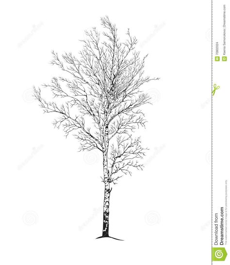 Birch Tree Tattoo, Boom Tattoo, Tree Tattoo Drawings, Birch Tree Tattoos, Maple Tree Tattoos, Tree Line Drawing, Mb Logo, Pine Tattoo, Jagua Tattoo