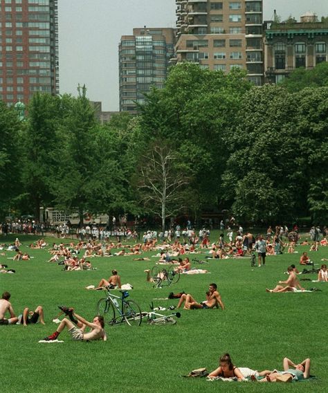 Vintage Central Park, Central Park Running Aesthetic, New York City Summer Aesthetic, City Park Aesthetic, New York In The Summer, Central Park Summer, New York Walking, Central Park Aesthetic, Central Park Picnic