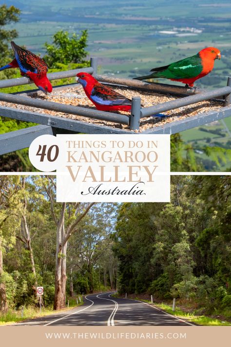 Before you start planning your trip, have a look at this list of fun things to do in Kangaroo Valley. From waterfalls to wineries, it has something for everyone Kangaroo Valley, Australia Itinerary, Valley Village, Travel Destinations Bucket Lists, Oceania Travel, Scenic Roads, One Day Trip, Travel Asia, New Zealand Travel