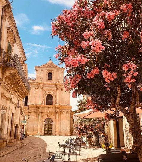 Trapani Sicily, Italian Flowers, Catania Sicily, Visit Sicily, Photo Grouping, Instagram Food, Catania, Palermo, Sicily