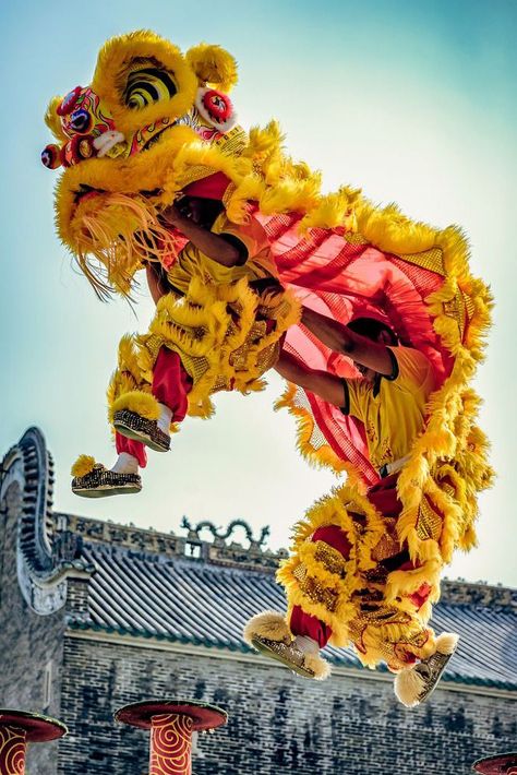 Lion Dance Costume, Dance Tattoo, Lion Dragon, Chinese Lion Dance, Dragon Chino, Chinese New Year Dragon, Chinese Dance, Chinese Opera, Chinese Festival