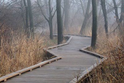 Timber Walkway, Journal March, Shade Landscaping, Pergola Plans Design, Wood Walkway, State College Pa, Diy Pond, Wooden Walkways, Family Nature