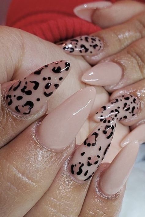 Almond Cheetah Print Nails, Ombre Leopard Nails, Leopard Christmas Nails, Snow Leopard Nails, Leopard Print Nail Art, Cheetah Nail Designs, Cheetah Print Nails, Cheetah Nails, Pink Cheetah Print