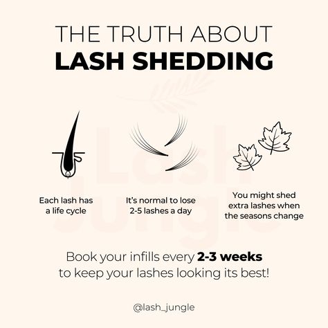 Did your clients know that lash shedding is NORMAL? Share this with them! 🍂 Fall Lash Shedding Season, Lash Client Forms, Lash Shedding Season, Lash Extension Tips For Clients, Lash Page Ideas, Lash Extension Facts, Lash Business Tips, Lash Tech Content Ideas, Esthetics Classroom