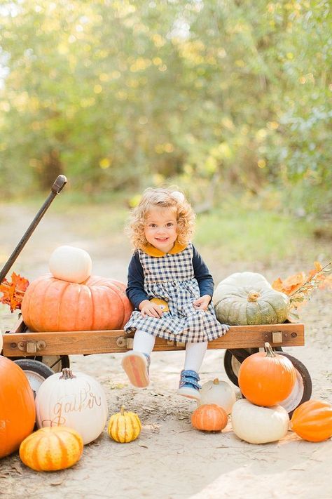 Fall Pictures Kids, Fall Mini Shoot, Fall Baby Photos, Fall Baby Pictures, Pumpkin Patch Photoshoot, Pumpkin Patch Pictures, Photo Halloween, Toddler Photoshoot, Fall Family Portraits