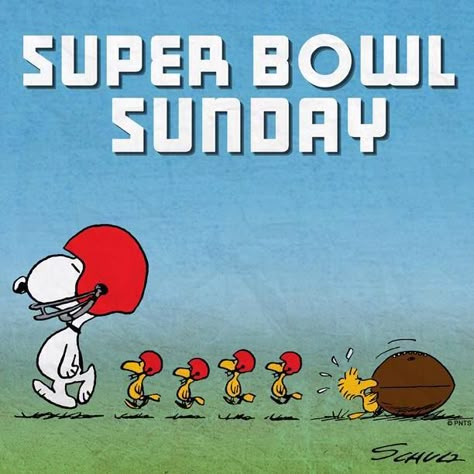 Danny Amendola, Snoopy Comics, Peanut Gang, Peanuts Comic Strip, Peanuts Cartoon, Peanuts Characters, Snoopy Pictures, Super Bowl Sunday, Snoop Dog