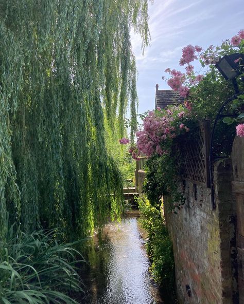 Lake George New York, Summer Lake, New York Aesthetic, Flowers Aesthetic, Lake George, Aesthetic Pics, Aesthetic Pictures, Country Roads, Lake