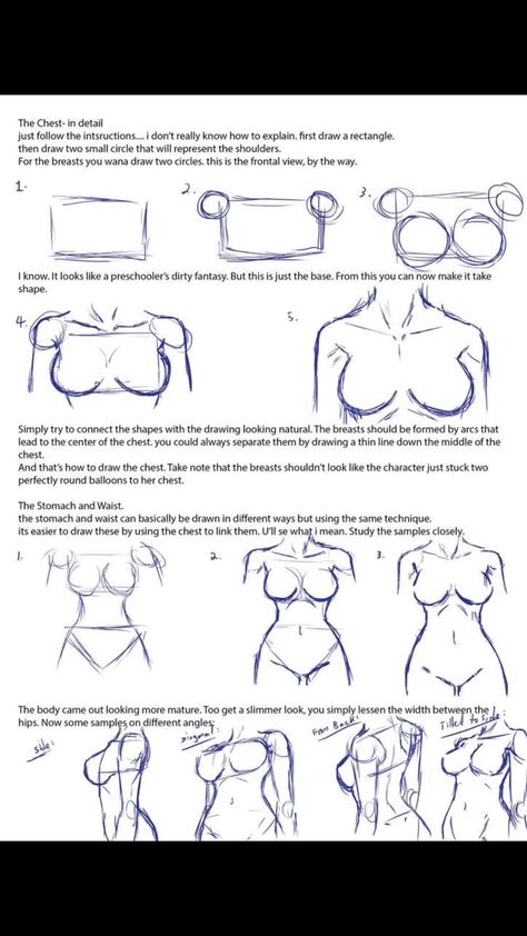 Drawing Female Anatomy Tutorial, How To Draw Standing Poses, Striper Drawing Poses, Anime Torso Reference, Arm Drawing Female, How To Draw Female Anatomy Step By Step, Drawing The Female Body, How To Draw A Torso Female, How To Draw Torso Female