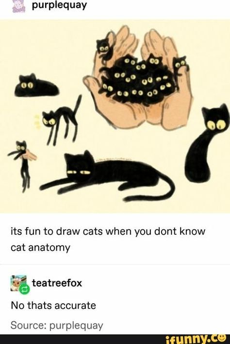 Purplequay its fun to draw cats when you dont know cat anatomy "á teatreefox No thats accurate Source: purplequay - iFunny :) Draw Cats, Cat Anatomy, Cat Eyes, Dessin Adorable, Drawing Tutorials, Drawing Tips, 귀여운 동물, Tumblr Funny, Cute Funny Animals