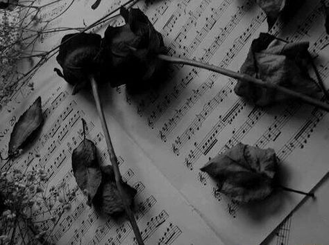 Black roses on sheet music Monochrome Aesthetic, Rosé Aesthetic, Gothic Aesthetic, Music Aesthetic, Academia Aesthetic, Black And White Aesthetic, Black Flowers, Rose Wallpaper, Black White Photos