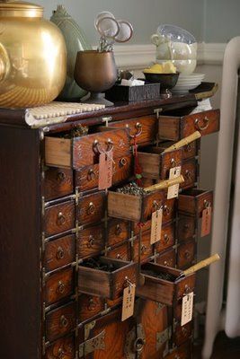 Apothecary Chest, Industrial Style Decor, Apothecary Cabinet, Cabinet Of Curiosities, Tea Parties, Rustic Furniture, My New Room, The Doors, Apothecary