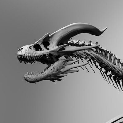 ArtStation - Explore Dragon Skeleton Drawing, Hydra Tattoo, Bone Dragon, Artstation Explore, Dragon Skeleton, Skull Dragon, Dragon Chino, Types Of Dragons, Dragon Skull