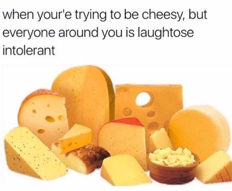 When you're trying to be cheesy, but everyone around you is laughtose intolerant.... Cheesy Memes, Terrible Puns, Cheesy Puns, One Liner Jokes, Punny Jokes, Funny One Liners, Great Jokes, Cheesy Jokes, Love Puns