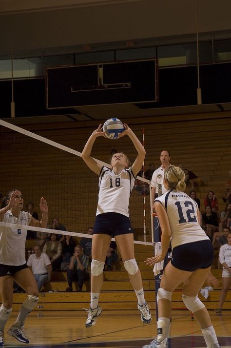 Jump Setting Volleyball, Setting Volleyball, Setter Volleyball, Volleyball Setting, Volleyball Teams, Club Volleyball, Volleyball Photography, Playing Volleyball, Volleyball Photos