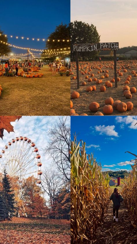 carnival Fall Festival Aesthetic, Autumn Carnival, Maple Creek, Autumn Fair, Fall Fair, Fall Carnival, Festival Aesthetic, School Carnival, Fall Festivals