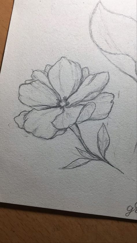 Love Flower Drawing, Flower Drawing Pencil Sketches, Flower Sketch Aesthetic, Sketch Ideas Flowers, Flower Background Drawing, Easy Flower Sketches, Arte Aesthetic, Flower Art Drawing, Flower Sketches