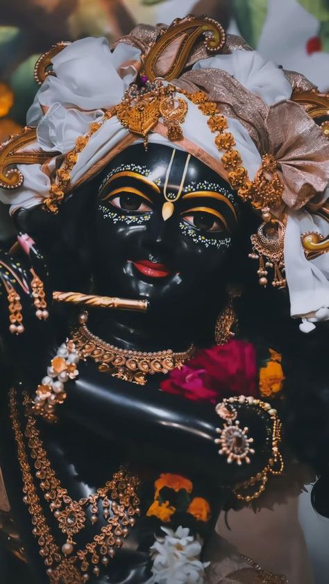 Kanha Ji Images, Krishna Video, Vrindavan Photography Pictures, Krishna Gif, Lord Photo, Krishna Book, Little Krishna, Lord Krishna Hd Wallpaper, Peace Illustration