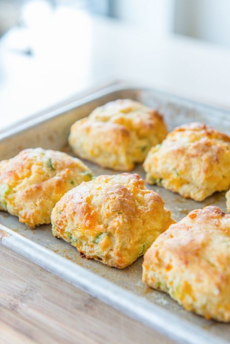 How to Freeze Biscuits from @fifteenspatulas for The Pioneer Woman Food & Friends Pioneer Woman Recipes Biscuits, Biscuit Recipe Ideas, Biscuits Ideas, Frozen Biscuits, Breakfast Biscuits, Drop Biscuits, Biscuit Bake, Freezer Cooking, Breakfast Breads