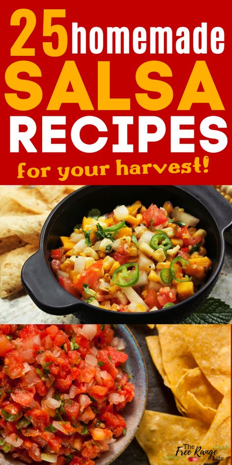 Looking for a new salsa recipe to add some kick to your meals? Try one of these 25 salsa recipes- includes tomato salsa, fruit salsa, corn salsa and more! A great way to use and preserve some of that fresh garden produce! Vegetable Salsa Recipe, Different Types Of Salsa Recipes, Homemade Salsa Recipes, Party Munchies, Fruit Salsa Recipe, Homestead Diy, Fresh Vegetable Recipes, Mexican Salsa Recipes, Homestead Recipes