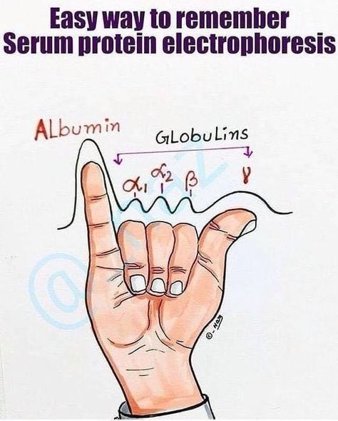 Medical Laboratory Science Student, Microbiology Study, Medical Lab Technician, Medical Laboratory Technician, Medical Assistant Student, Learn Biology, Clinical Chemistry, Medical Laboratory Scientist, Technology Humor