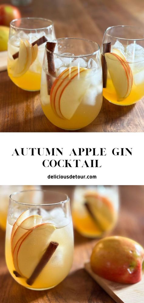 This Autumn Apple Gin Cocktail is the perfect drink if you want a light boozy beverage that’s a little bit sweet, sour and” cinnamony”. Made with apple cider, your favorite gin, fresh lemon juice, and cinnamon simple syrup, this drink is just what you need. #fall drinks #gin #cocktails #apple cider Simple Gin Drinks, Apple Juice Cocktail, Easy Gin Cocktails, Cinnamon Drink, Apple Cider Drink, Simple Syrup Cocktails, Cinnamon Simple Syrup, Apple Cider Cocktail, Apple Cocktail