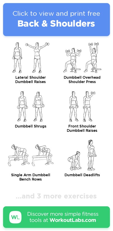 Shoulder Back Exercises For Women, Shoulders And Back Workout Dumbbells, Back Shoulder And Bicep Workout, At Home Back And Shoulder Workout, Best At Home Back Workout, Upper Back Muscle Workout, Free Weight Shoulder Workout, Easy Shoulder Workout, Easy Full Body Dumbbell Workout