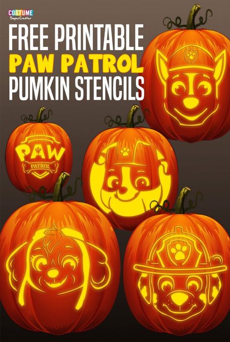 Paw Patrol Pumpkin Stencils - Skye Paw Patrol Pumpkin Carving Stencil, Blippi Pumpkin Carving Stencil, Paw Patrol Jack O Lantern, Paw Patrol Pumpkin, Bluey Pumpkin Carving Stencil, Bluey Cartoon Pumpkin Stencil, Cartoon Pumpkin Carving Stencil, Paw Patrol Pattern, Paw Patrol Pumpkin Stencil