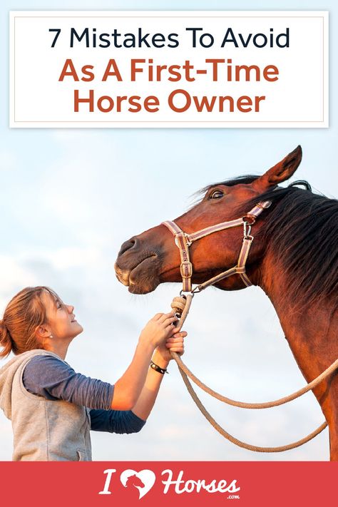 All horse owners go through the same learning process. It’s a rite of passage to go from a newbie to a capable and confident horse owner. Mistakes are bound to happen, but we want to help you avoid the big ones! From shopping for your first horse to learning how to properly care for him or her, there’s a lot to learn. Before you embark on your journey as a horse owner, make sure you don’t commit these 7 common mistakes. | #horseowner #ihearthorses #eqlife #equestrianproblems #horseownertips Learning To Ride A Horse, How To Train Your Horse, How To Take Care Of Horses, New Horse Owner Checklist, Taking Care Of Horses For Beginners, First Time Horse Owner Checklist, Horse Ownership For Beginners, Owning A Horse For The First Time, How To Train A Horse