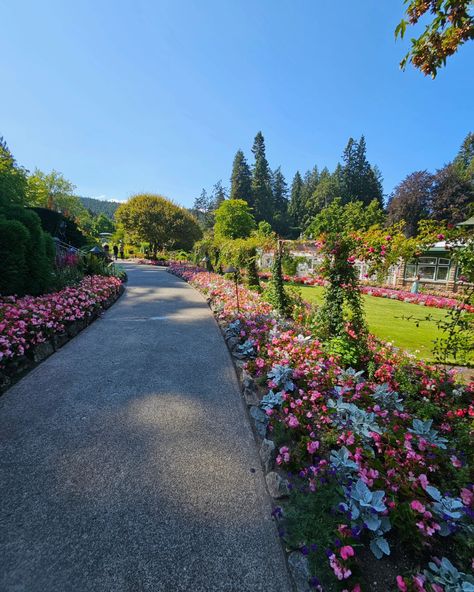 🐚🌊🩷🏔🌸✨️ Dopamine Boost, Blue Flower Wallpaper, Butchart Gardens, Victoria Bc, Dream Engagement, Floral Garden, Aesthetic Themes, Botanical Garden, British Columbia