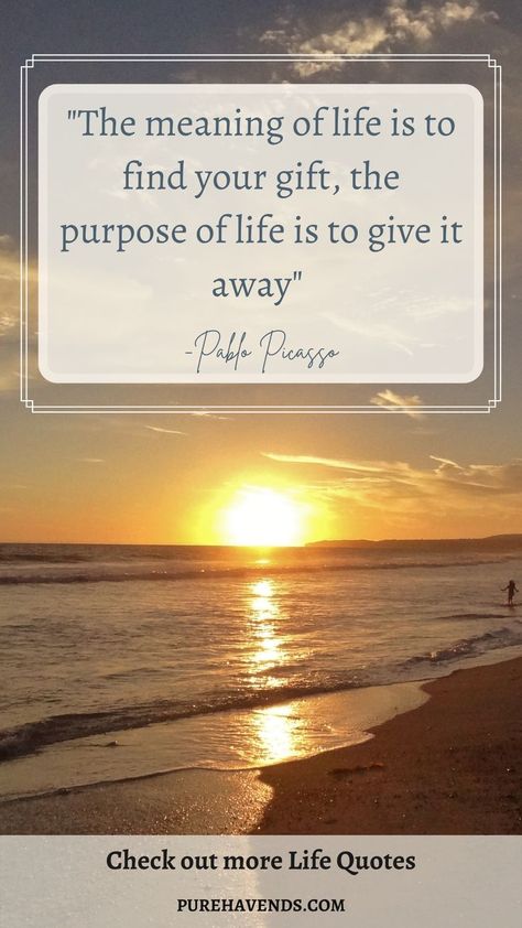 Live your purpose life quote Purpose Of Life Quotes, The Alchemist Paulo Coelho, Life Purpose Quotes, Church Sign Sayings, Sign Sayings, Purpose Quotes, The Purpose Of Life, Coaching Questions, Purpose Of Life