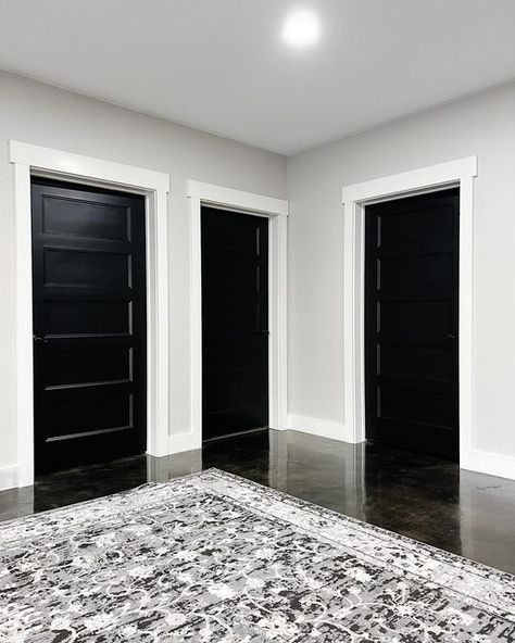 Black Doors Interior Grey Walls, Black Interior Doors With White Trim Light Wood Floors, Agreeable Gray Walls Black Doors, Tricon Black Doors, Black Interior Farmhouse Doors, Tricorn Black Agreeable Gray, Black Interior Doors Agreeable Gray Walls, Black Doors Grey Walls, Black Trim Gray Walls